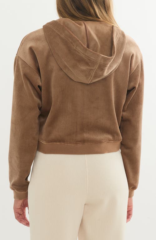 Shop Marine Layer Corded Velour Crop Hoodie In Toffee