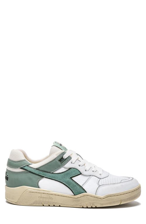 Shop Diadora B. 560 Used Sneaker In Iceberg Green