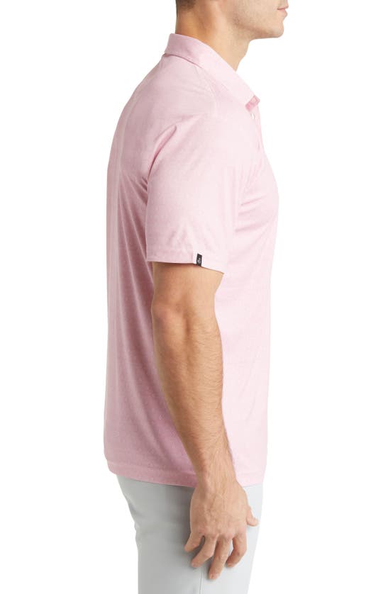 Swannies Eddie B Golf Polo In Flamingo