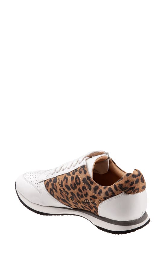 Shop Trotters Infinity Leather Sneaker In White Tan Cheetah