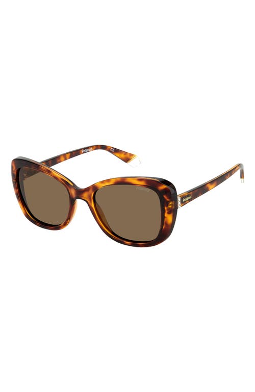 Shop Polaroid 53mm Polarized Cat Eye Sunglasses In Havana/bronze Polar