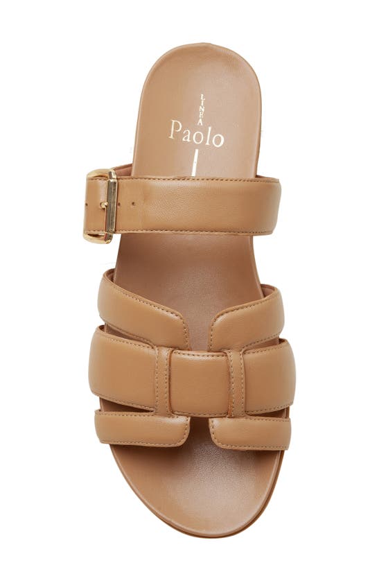 Shop Linea Paolo Rosalie Sandal In Desert