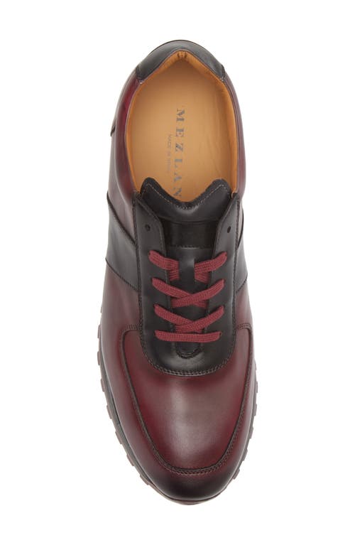 Mezlan Latini Sneaker In Graphite/red