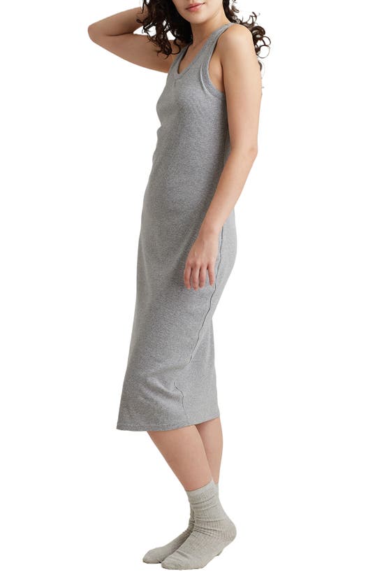 Shop Papinelle Milla Rib Shelf Bra Nightgown In Grey