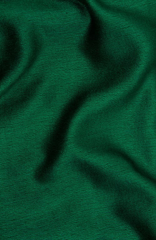 Saachi Cashmere Silk Eyelash Fringe Scarf In Green