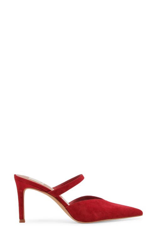 Shop Dolce Vita Kanika Pointed Toe Pump In Crimson Suede