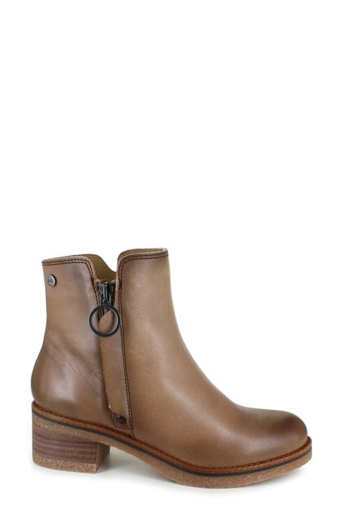 Shop National Comfort Carinna Bootie In Taupe