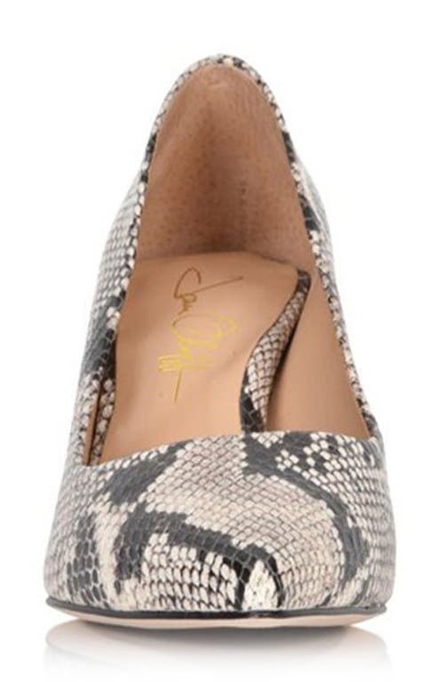 Joan Oloff Deborah Pointed Toe Pump In Natural Printed Snake