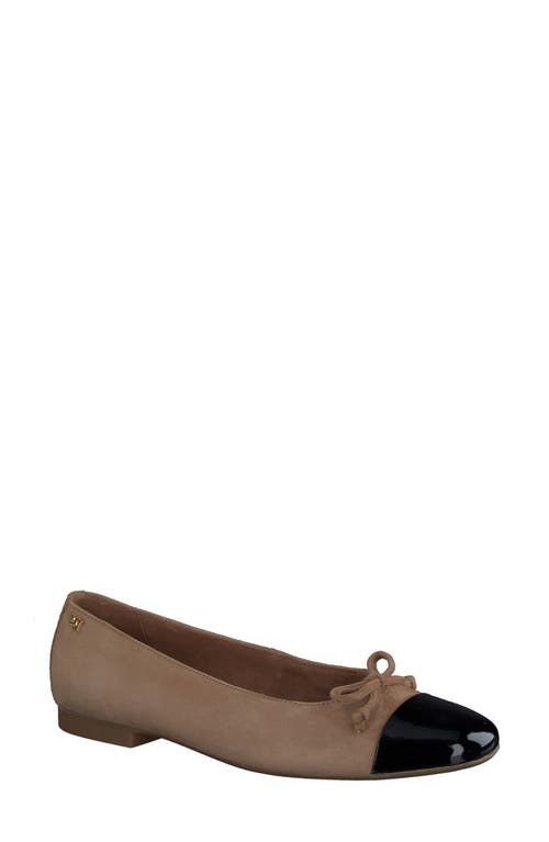 Paul Green Violet Ballet Flat In Brown