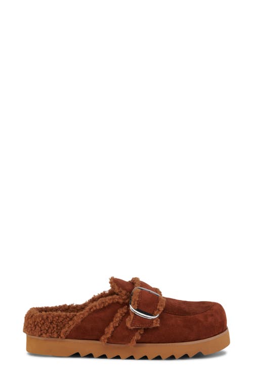 Shop Azalea Wang Simah Faux Shearling Lined Mule In Chestnut