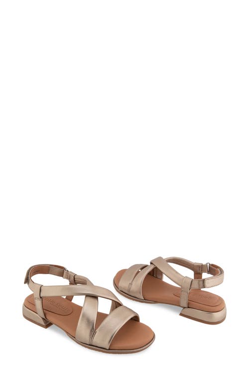 Shop Gentle Souls By Kenneth Cole Gentle Souls Heather Slingback Sandal In Gravel Leather