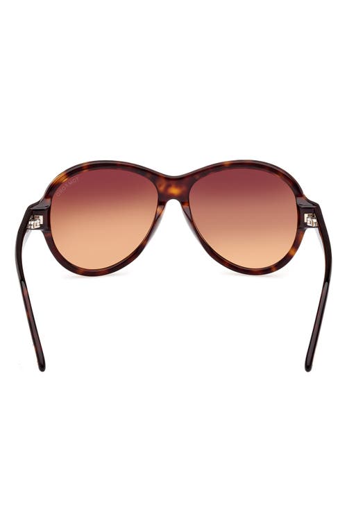 Tom Ford 59mm Round Sunglasses In Dark Havana/gradient Brown