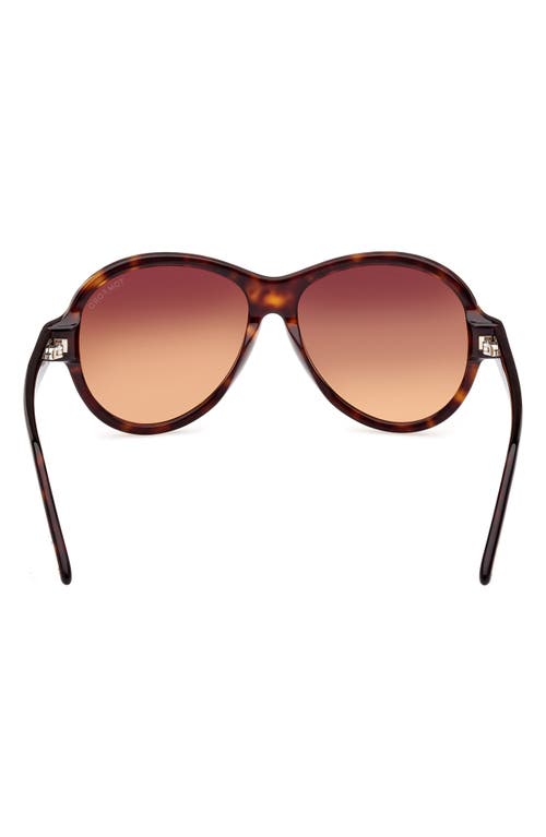 Shop Tom Ford 59mm Round Sunglasses In Dark Havana/gradient Brown