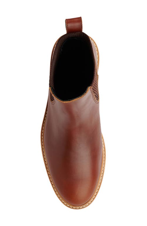 Nisolo Carmen 2.0 Chelsea Boot In Brandy