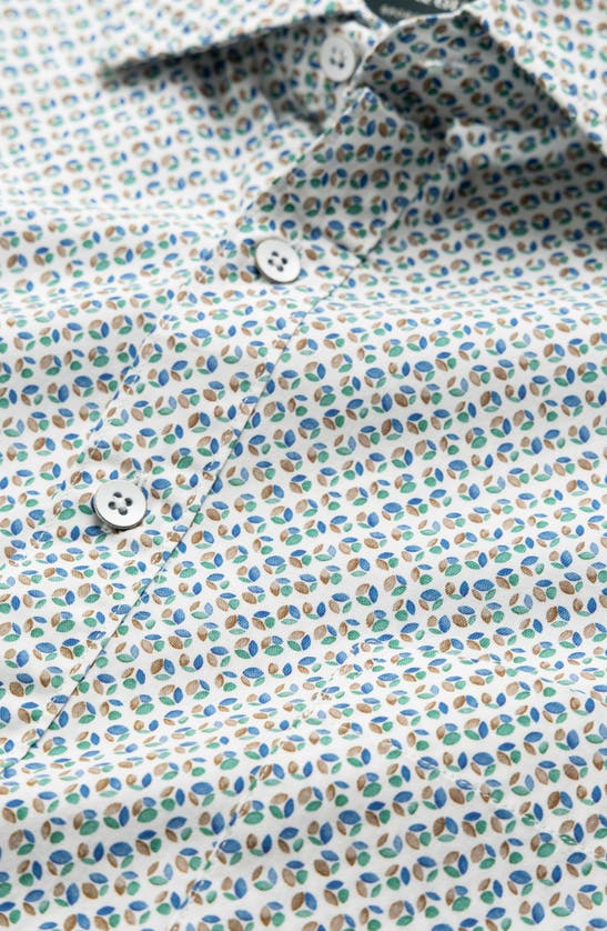 Shop Rodd & Gunn Underwood Sports Fit Dot Print Button-up Oxford Shirt In Autumn