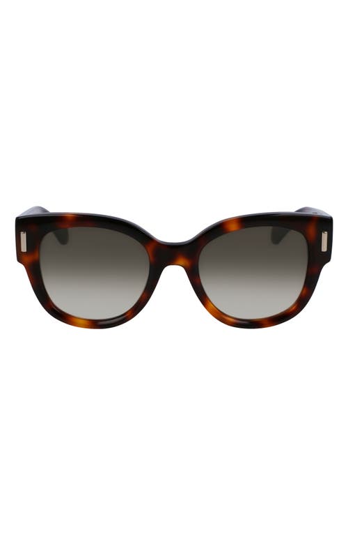 Shop Ferragamo Rivets Tea Cup 51mm Butterfly Sunglasses In Tortoise