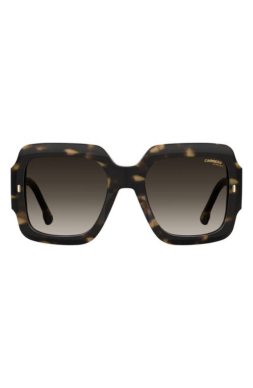 Carrera Eyewear 54mm Gradient Rectangular Sunglasses In Havana/brown Gradient