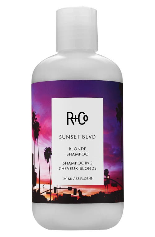 Sunset Blvd Blonde Shampoo