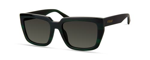 Derek Lam 10 Crosby Aero Sunglasses In Green Marble