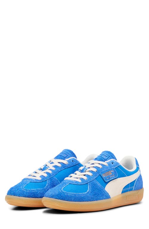 Shop Puma Palermo Sneaker In Hyperlink Blue-frosted Ivory