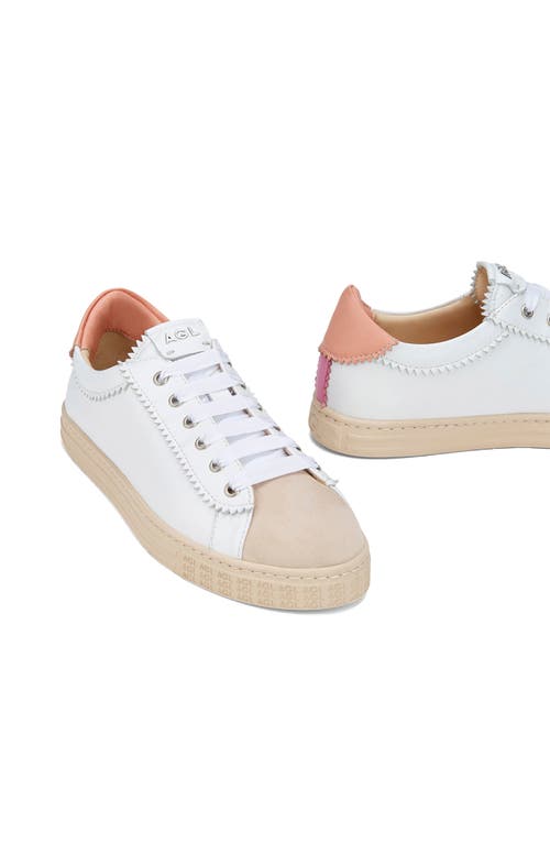 Shop Agl Attilio Giusti Leombruni Agl Sade Spring Leather Sneaker In Rosa