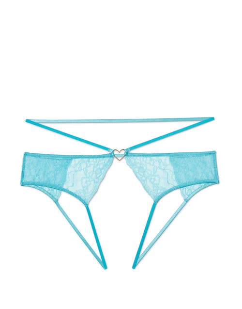 Shop Adore Me Danielle Bikini Panties In Medium Blue