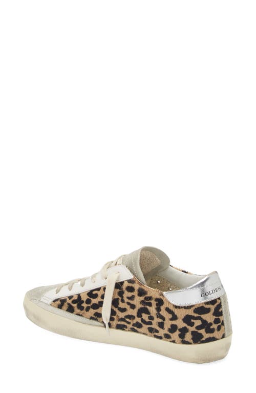 Shop Golden Goose Super-star Private Edition Genuine Calf Hair Sneaker In Leopard/blue