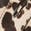 selected White/ Black Calf Hair color