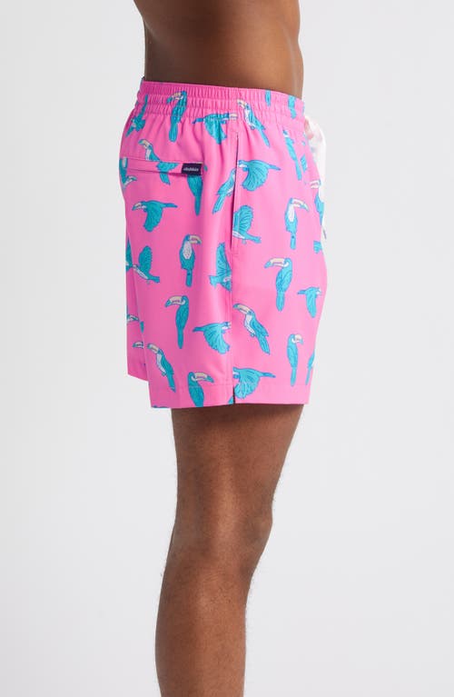 Shop Chubbies Classic Lined 5.5-inch Swim Trunks In The Toucan Do Its