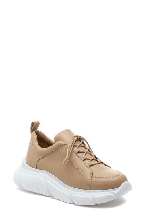 J/SLIDES NYC Knockout Leather Sneaker in Sand Leather