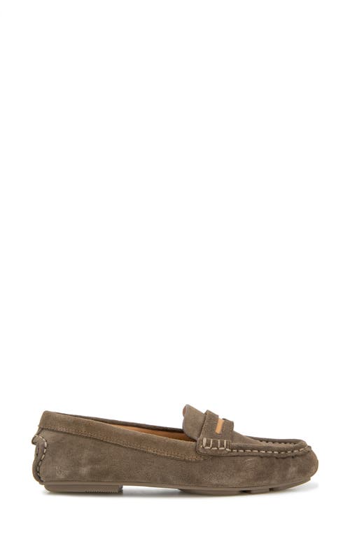 Gentle Souls By Kenneth Cole Madison Loafer In Shitake Suede