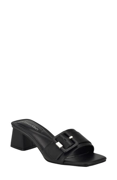 Calvin Klein Ariella Slide Sandal at Nordstrom,