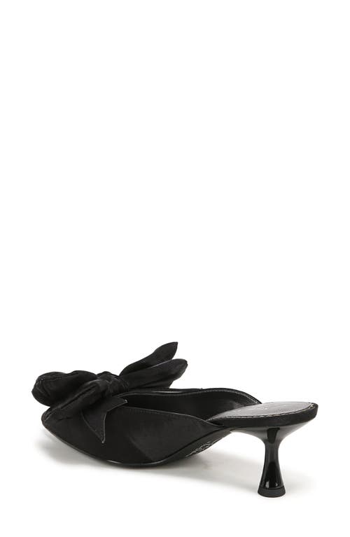 Circus Ny By Sam Edelman Fiona Pointed Toe Mule In Black