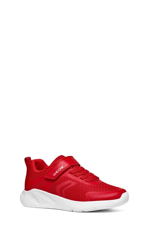 Geox Kids' Sprintye Sneaker in Med Red 