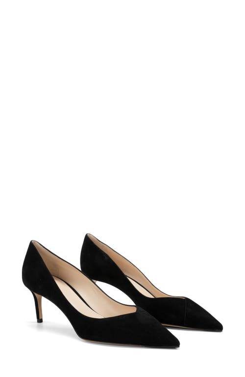 Alexandre Birman Pamela Pointed Toe Pump Black at Nordstrom