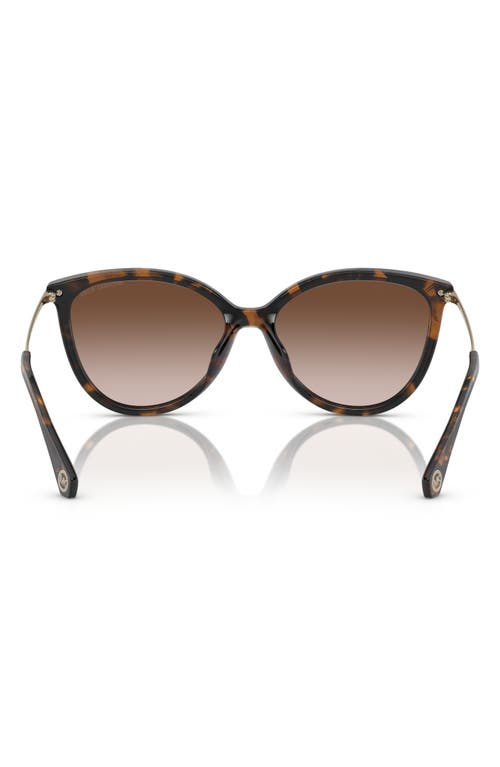 Michael Kors 56mm Gradient Cat Eye Sunglasses In Dark Tortoise