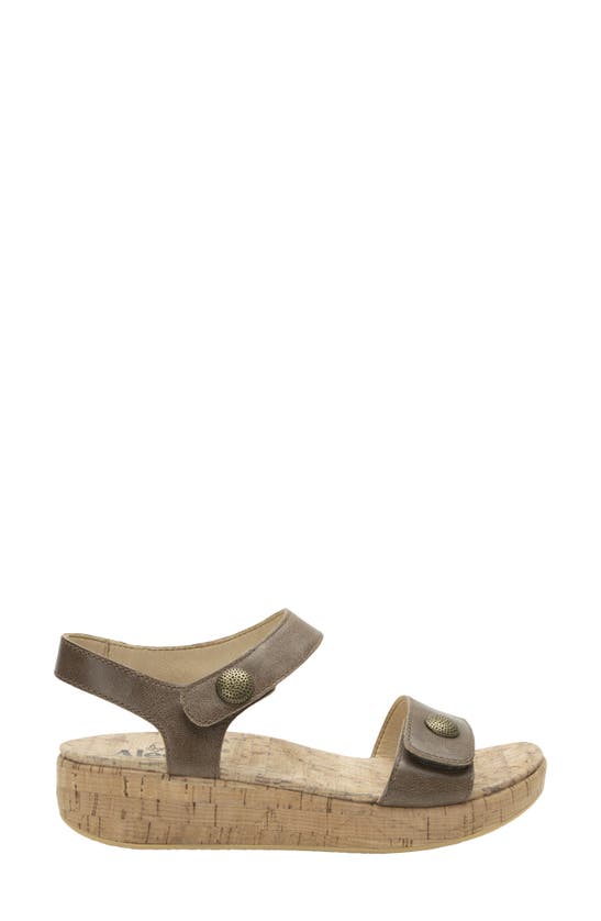 Shop Alegria By Pg Lite Marta Ankle Strap Platform Wedge Sandal In Stones Throw