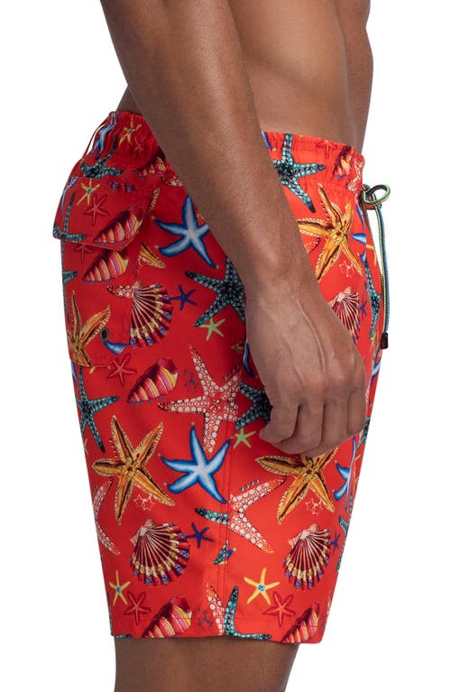 Shop Bugatchi Starfish Shell Print Swim Trunks In Tangerine