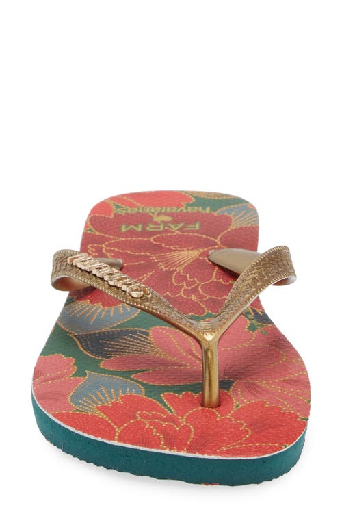 Shop Havaianas X Farm Rio Parrot Floral Flip Flop In Pantanal Green/red