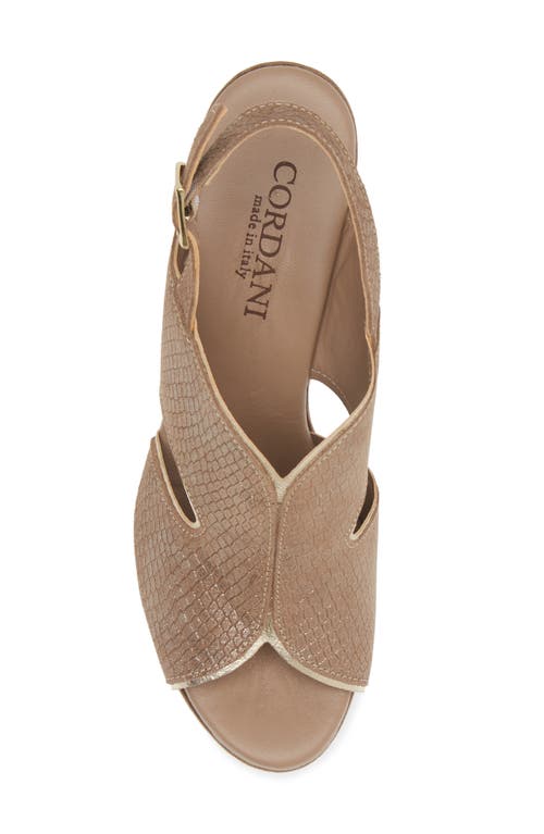 Cordani Toni Slingback Sandal In Fango Shimmer