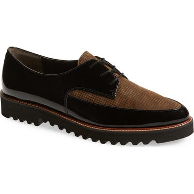 Paul Green Basha DerbyUS /4UK - Black
