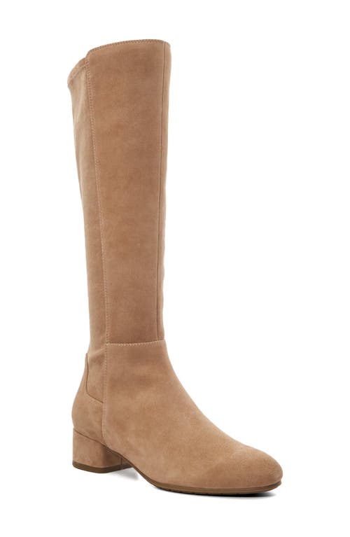 DUNE LONDON DUNE LONDON TAYLA KNEE HIGH BOOT