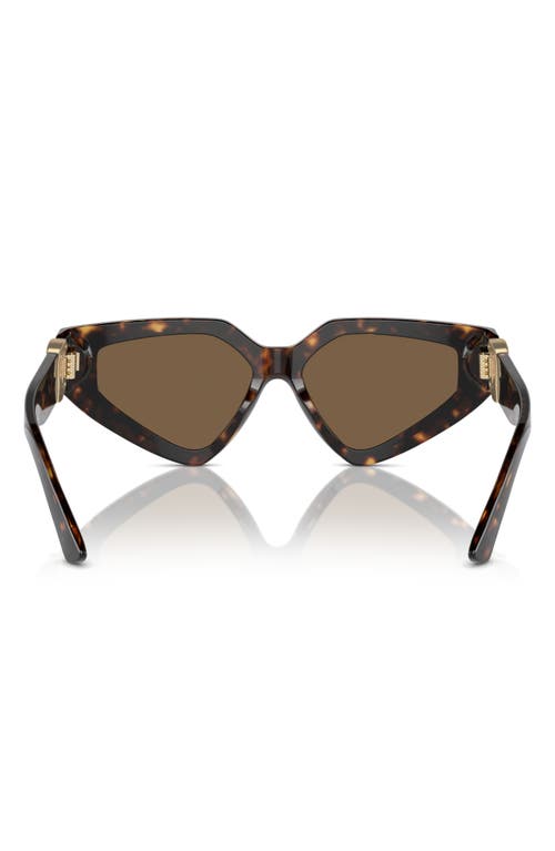 Shop Dolce & Gabbana Dolce&gabbana 59mm Butterfly Sunglasses In Havana