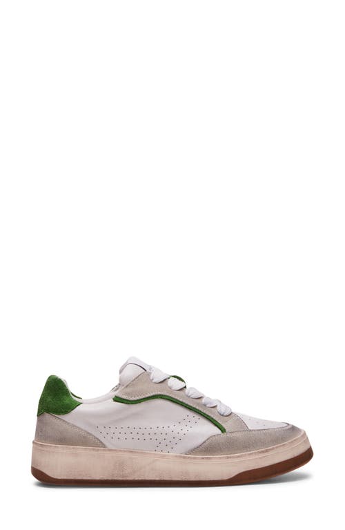 Shop Steve Madden Alec Sneaker In White/grey Leather