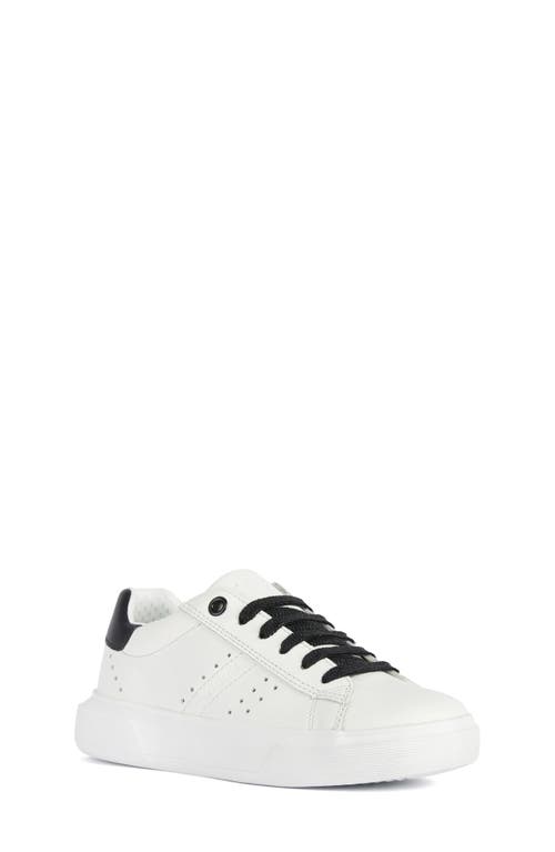 Geox Kids'  Nettuno Sneaker In White/black