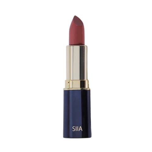 Siia Cosmetics Change Agent Matte Lipstick In Bitter Brown