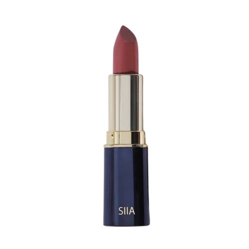 Shop Siia Cosmetics Change Agent Matte Lipstick In Bitter Brown