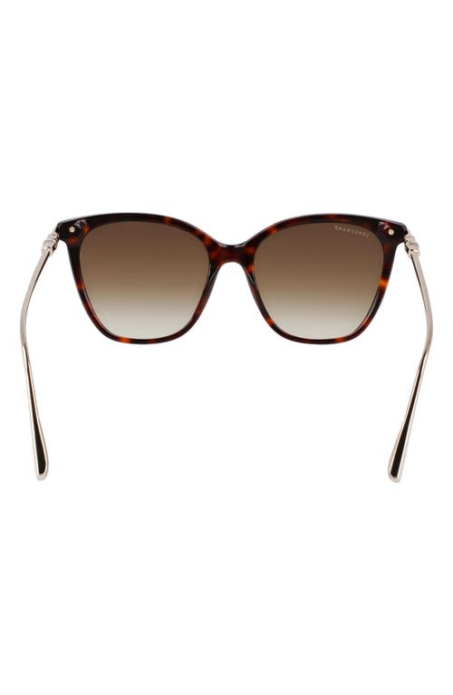 Longchamp Roseau 55mm Rectangular Sunglasses In Dark Havana