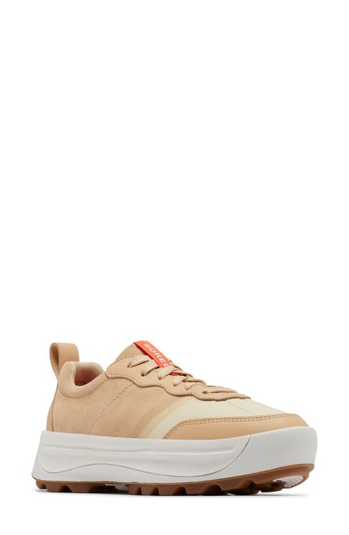 Shop Sorel Ona 503 Low Top Platform Sneaker In Ceramic/bleached Ceramic