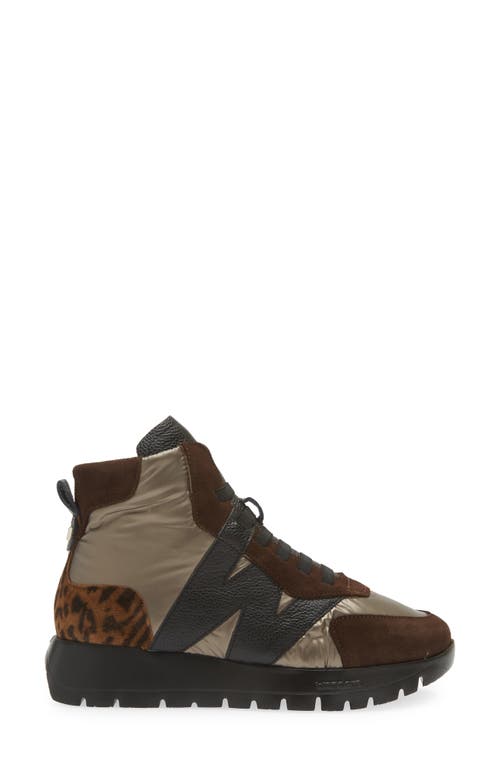 Shop Wonders Fashion High-top Sneaker In Brown Maroon Leo Combo